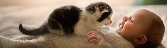 Animals with Disabilities