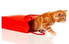 The cat's out of the bag
