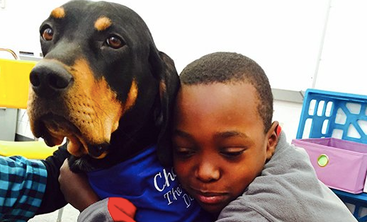 Is Pet Therapy Ethical?
