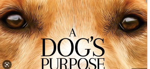 A Dog's Purpose