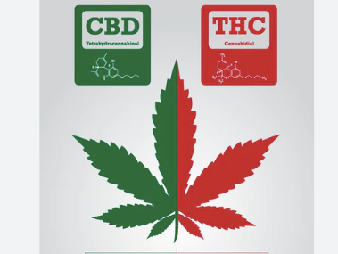 Hemp v. CBD
