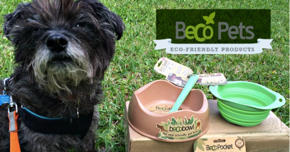 Eco-friendly pet products