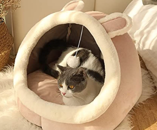 A very smart cat bed