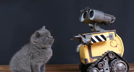 How can AI help with analyzing your cat's behavior?
