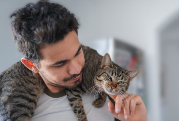 The powerful bond with your cat