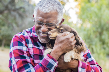 Animals and the Elderly in Children's Books