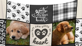 Products for your beloved pets