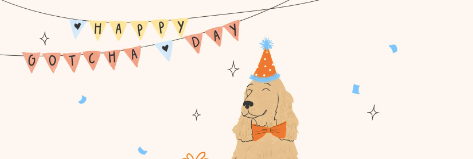 Special days for your pets