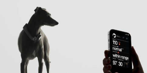 Health trends for your furry soulmates