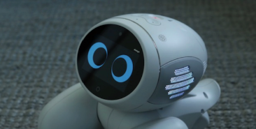 How can AI help your furry soulmate?