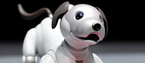 Artificial Intelligence and Dogs