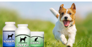 Pet Supplements