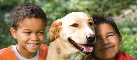 Animals teaching chidren