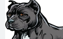 Pitbulls and Discrimination